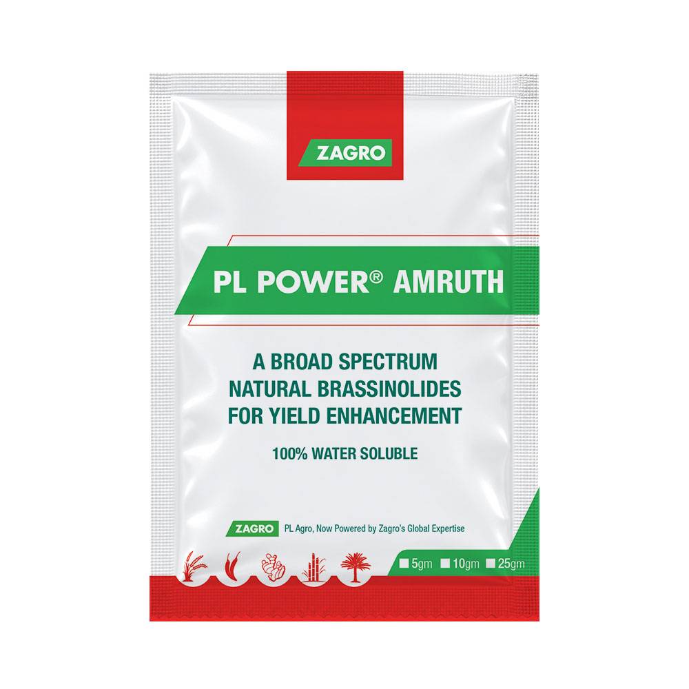 PL Power® Amruth